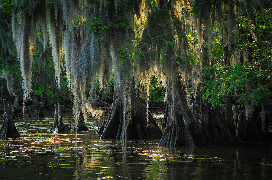 Louisiana Escourts