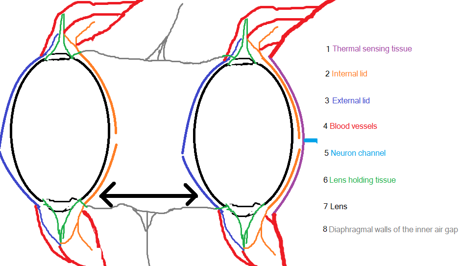 GoalsandPossibilities WormBioabsorptionTaylorAltPower Fiction.live
