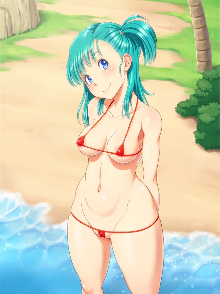 Dragon Ball Hentai By Dissel
