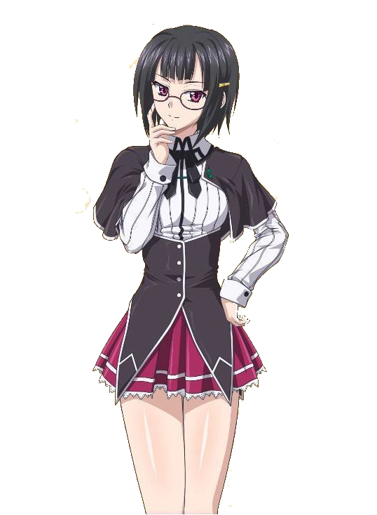 Akena (Fallen Angel) - Akeno Himejima, Anime Adventures Wiki