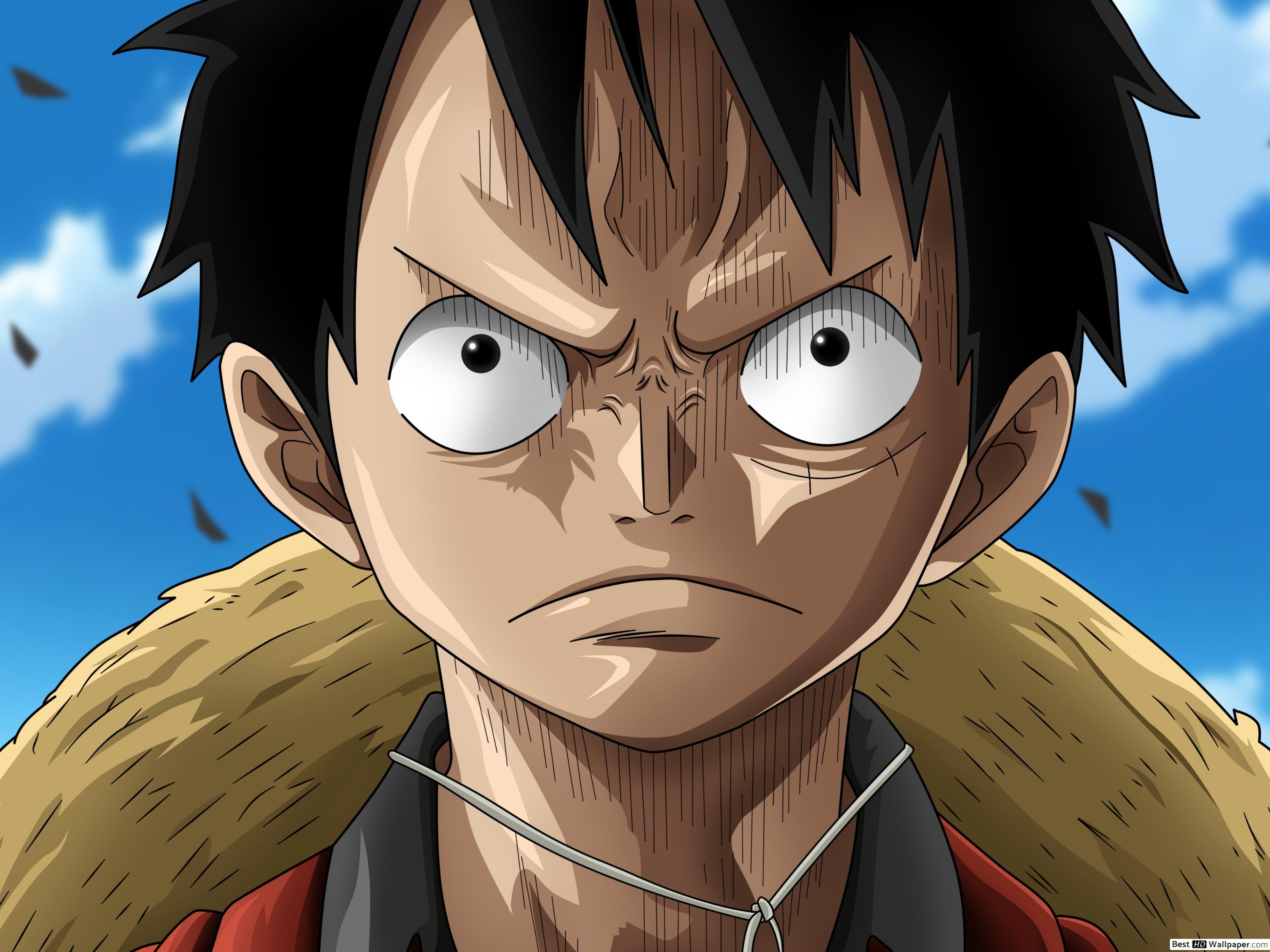 Strong(One Piece x Reader) - Prologue  Monkey d luffy, One piece fanart, One  piece manga