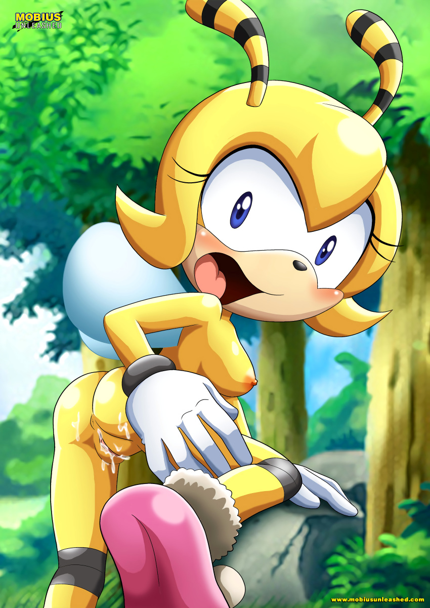 Mighty Bee Hentai